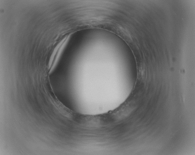 X0000060741012200511241632