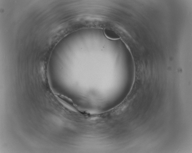 X0000060741013200511241632