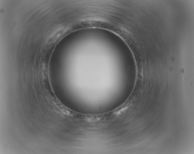 X0000060741014200511241632