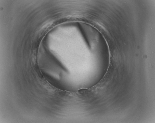 X0000060741015200511241632