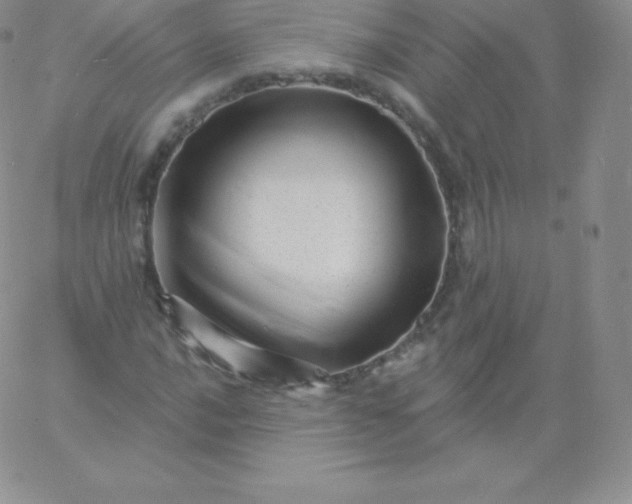 X0000060741016200511241632