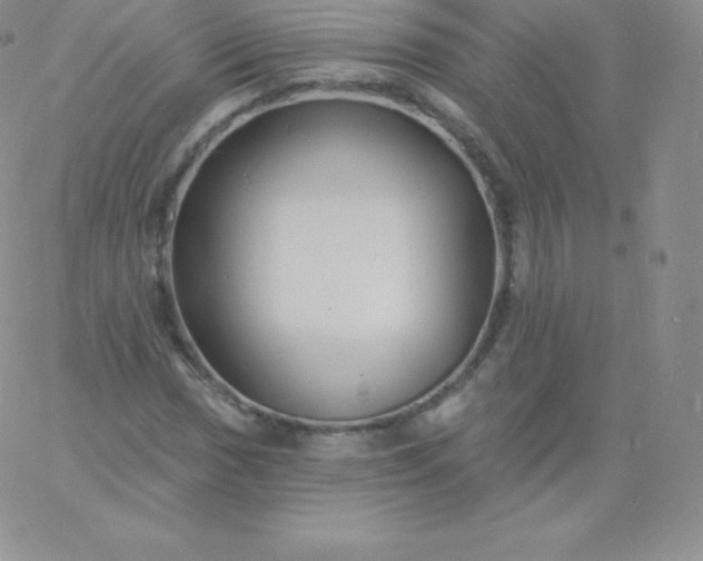 X0000060741017200511241632