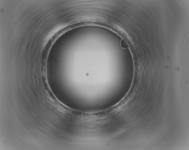 X0000060741019200511241632