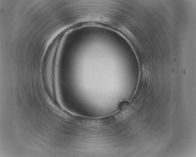 X0000060741020200511241633