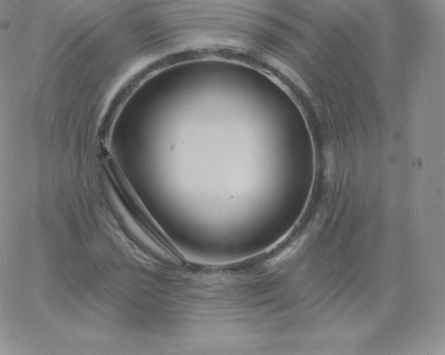 X0000060741021200511241633