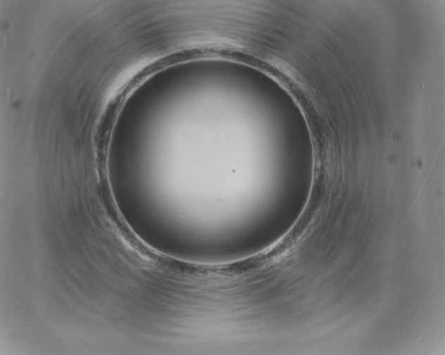 X0000060741022200511241633