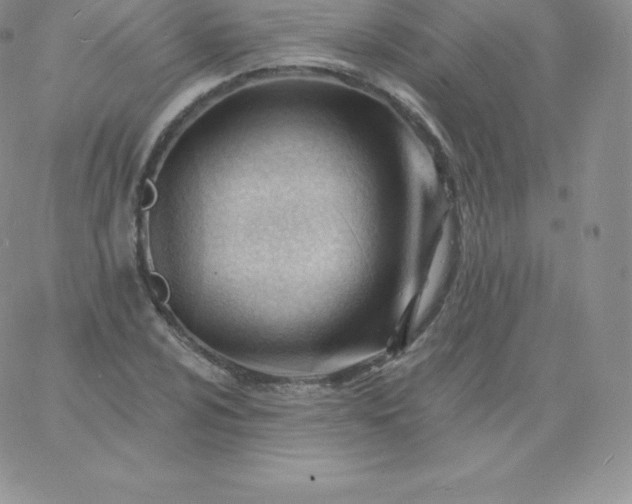 X0000060741024200511241633