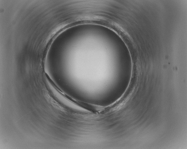 X0000060741025200511241633