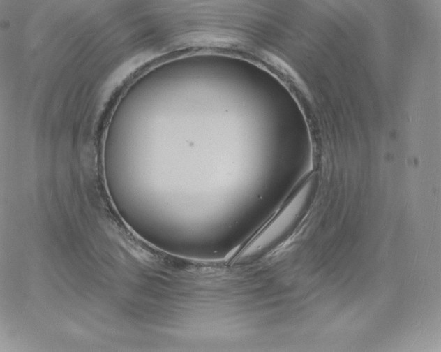 X0000060741027200511241633