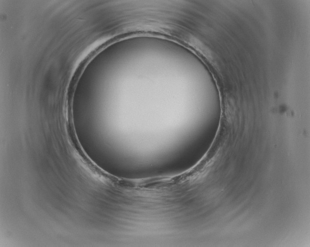 X0000060741028200511241633