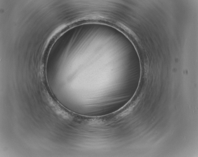 X0000060741029200511241633