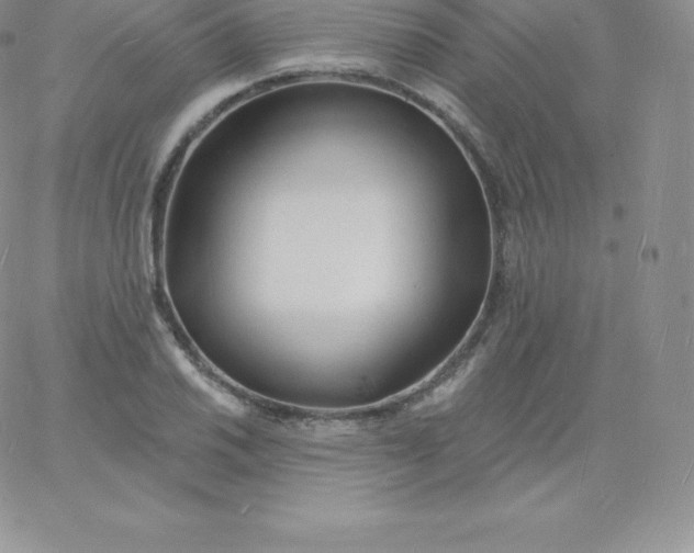 X0000060741030200511241633