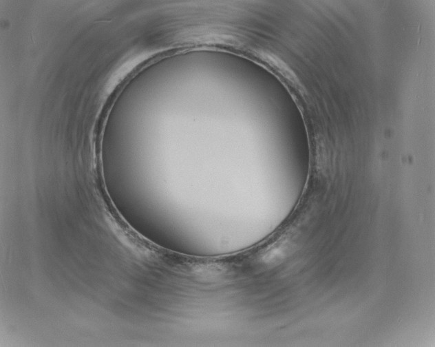 X0000060741031200511241633