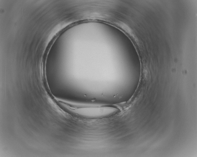 X0000060741032200511241633