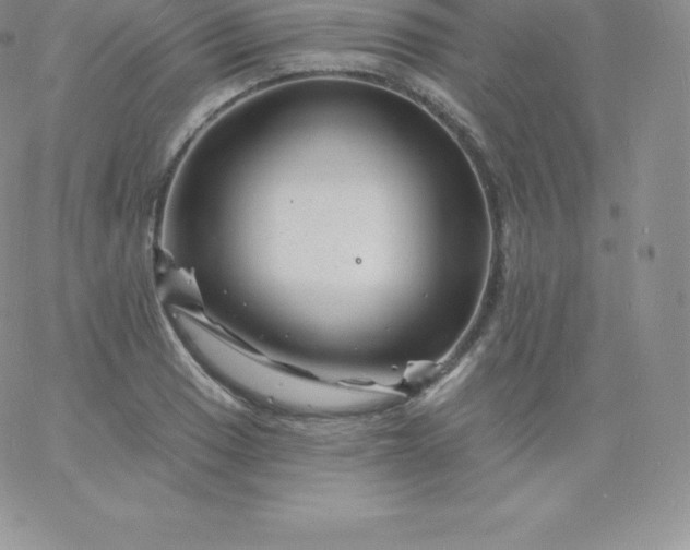 X0000060741033200511241633