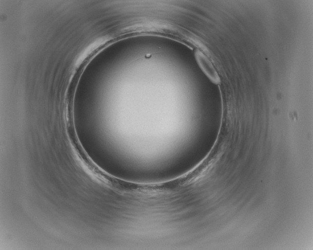 X0000060741034200511241633