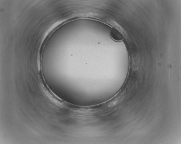 X0000060741036200511241633