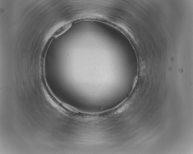 X0000060741038200511241633