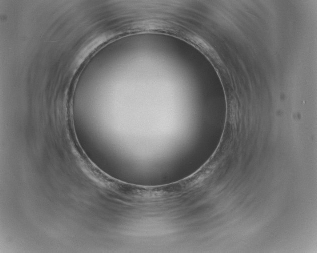 X0000060741039200511241633