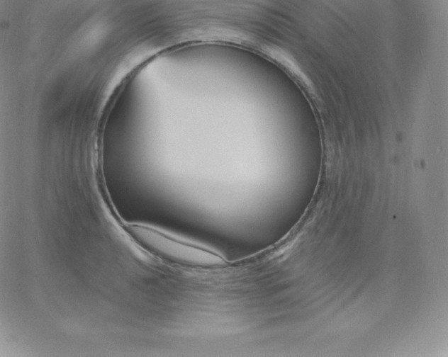 X0000060741040200511241633