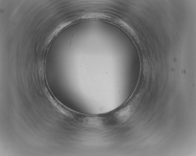 X0000060741041200511241633