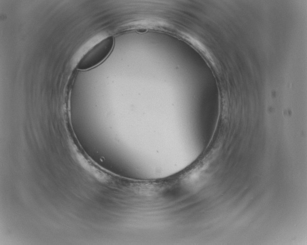 X0000060741042200511241633