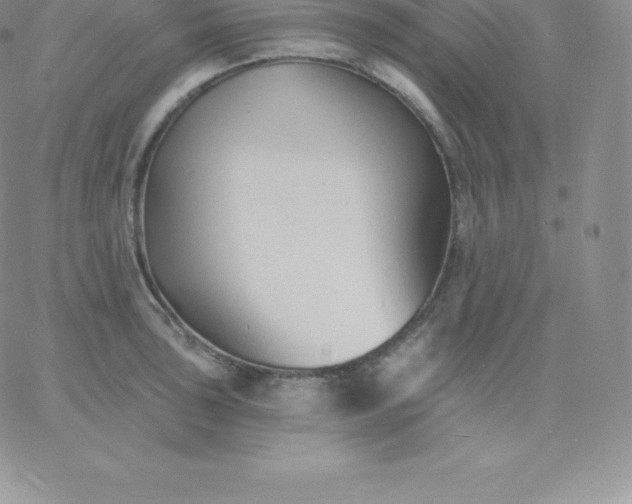 X0000060741043200511241633