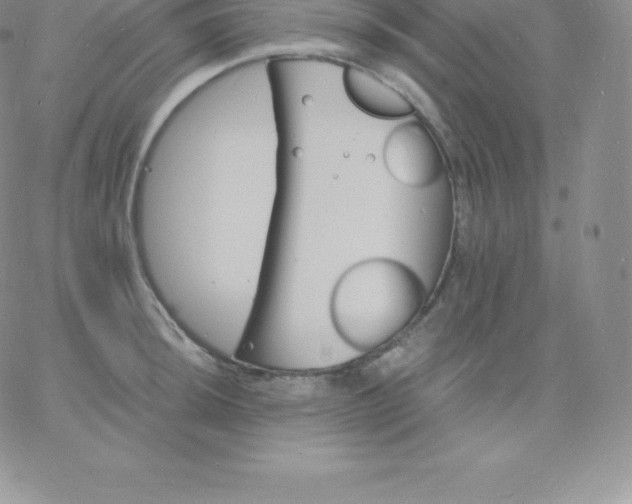 X0000060741044200511241633