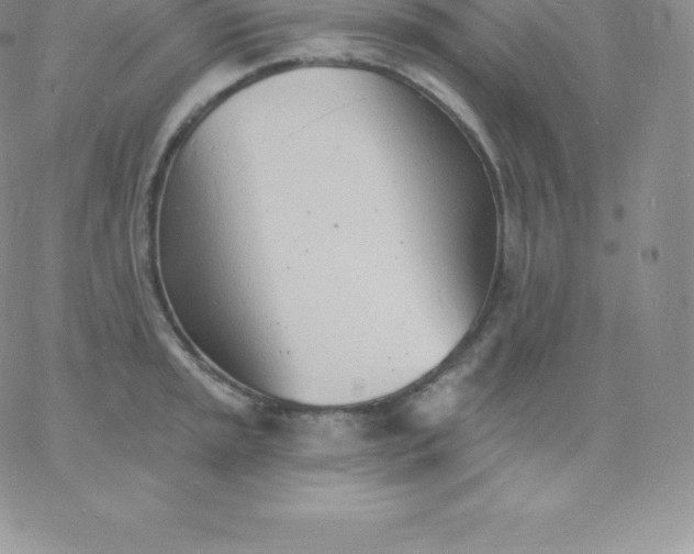 X0000060741045200511241633