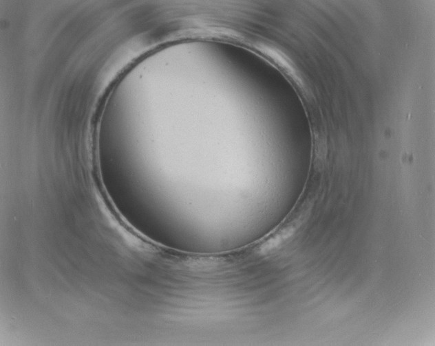 X0000060741046200511241633