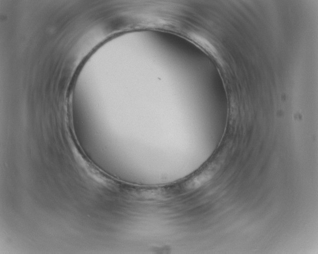 X0000060741047200511241633