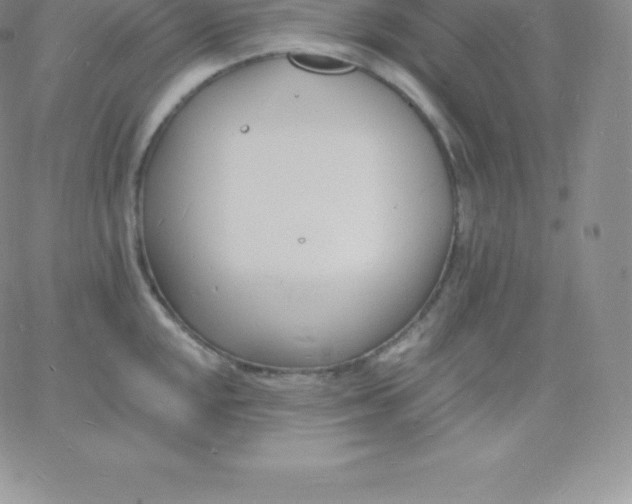 X0000060741048200511241633