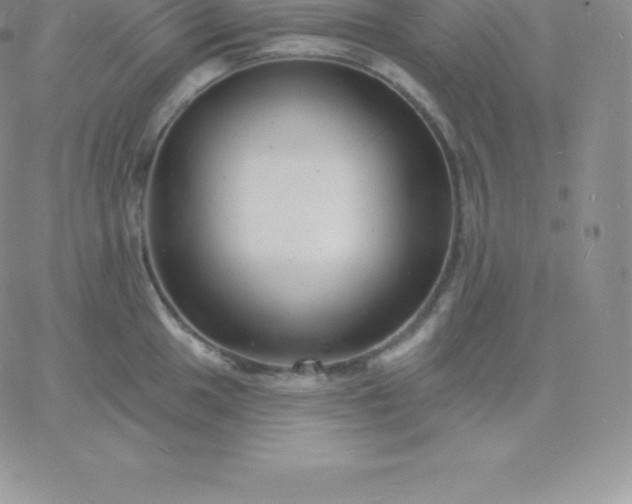 X0000060741049200511241633