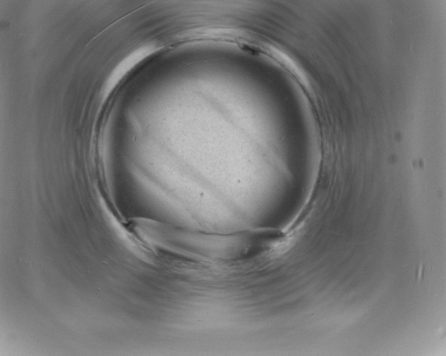 X0000060741050200511241633