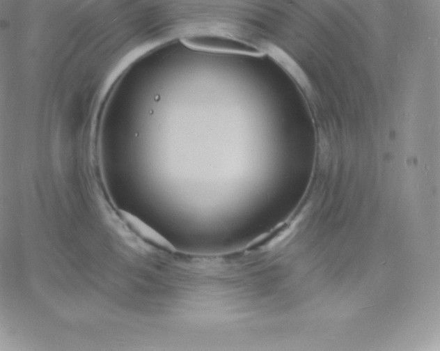 X0000060741052200511241633