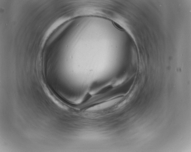 X0000060741053200511241633