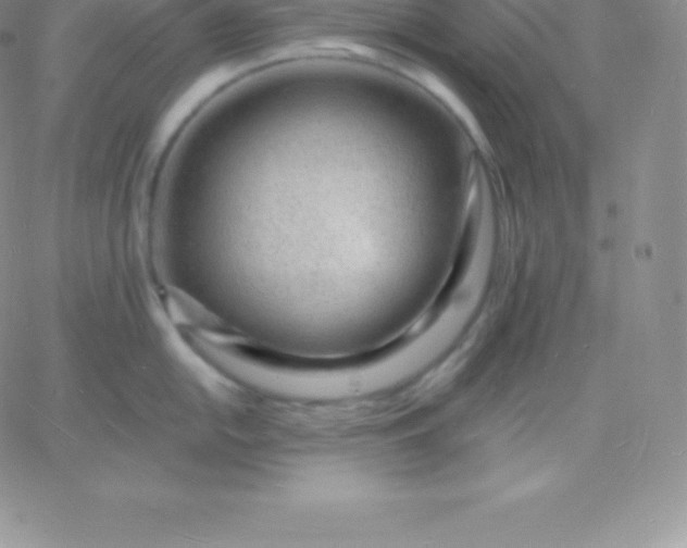 X0000060741054200511241633