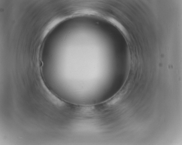 X0000060741055200511241633