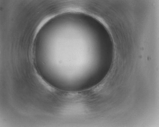 X0000060741056200511241633