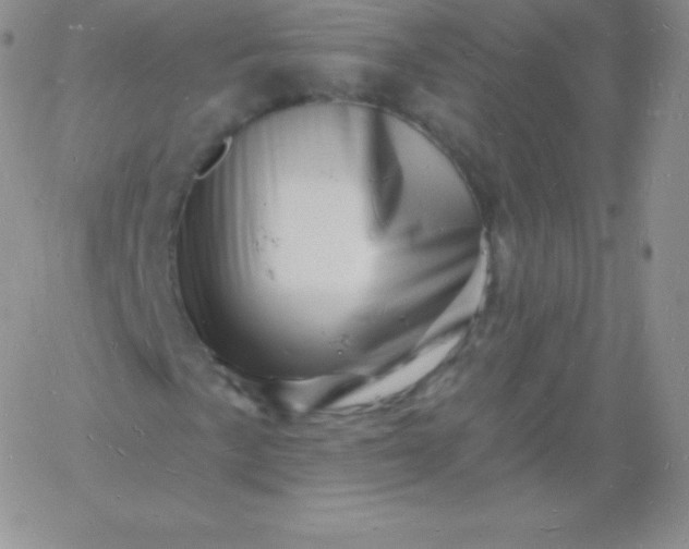 X0000060741057200511241632