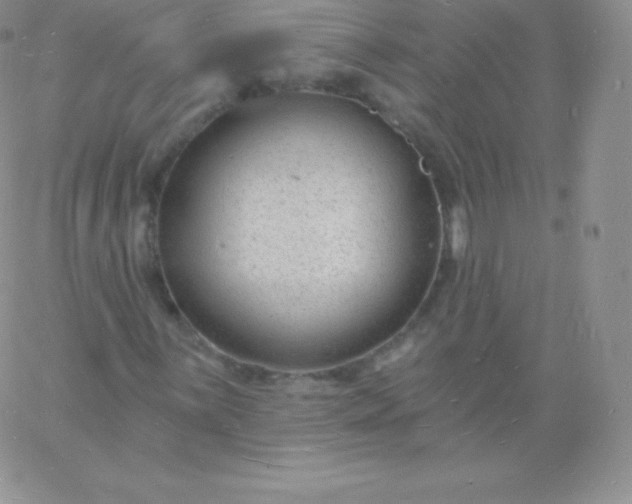 X0000060741059200511241632