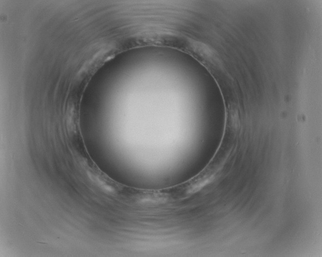 X0000060741060200511241632