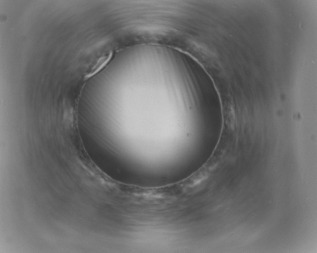 X0000060741061200511241632