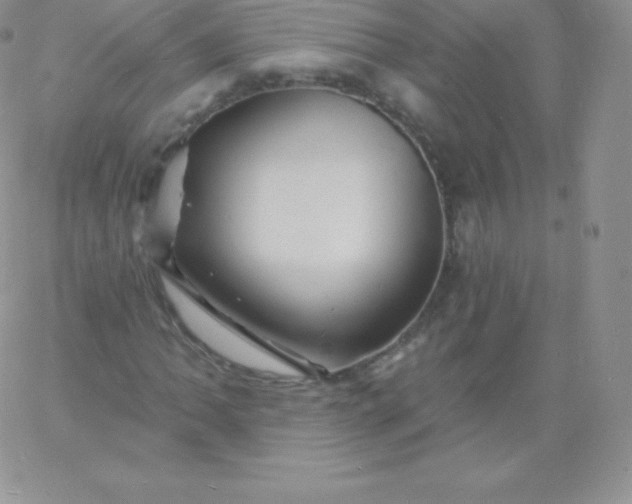 X0000060741062200511241632