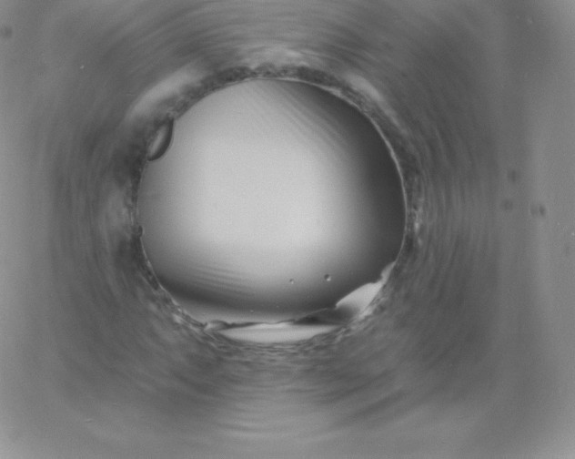 X0000060741063200511241632