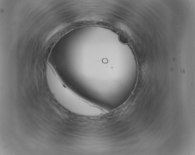 X0000060741064200511241632