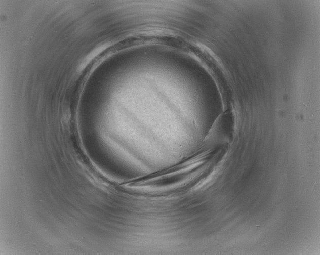 X0000060741065200511241632