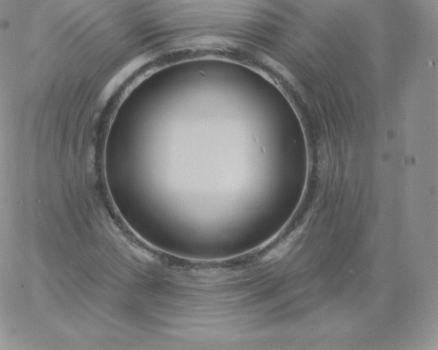 X0000060741066200511241632