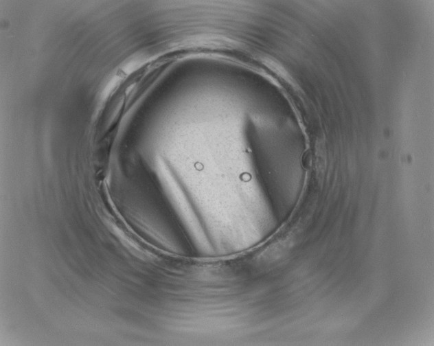 X0000060741067200511241632