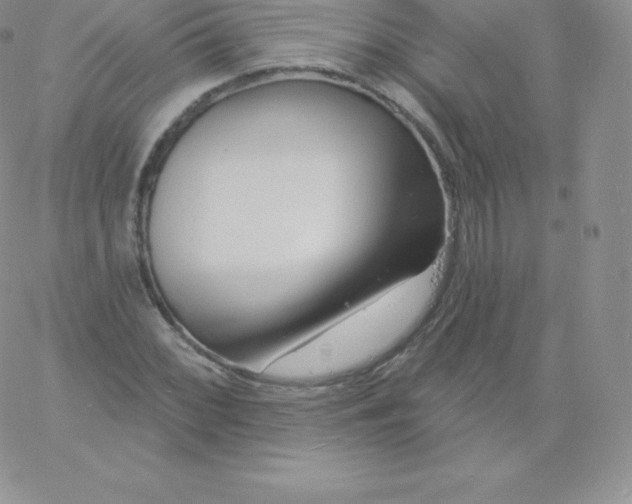 X0000060741068200511241632